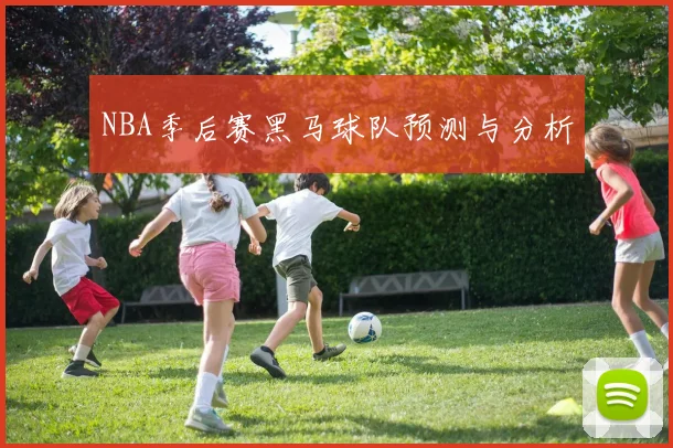 NBA季后赛黑马球队预测与分析