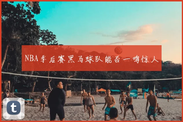 NBA季后赛黑马球队能否一鸣惊人