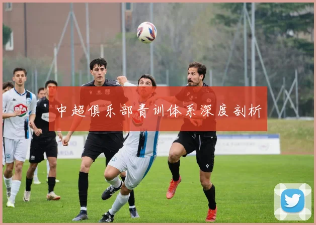 中超俱乐部青训体系深度剖析
